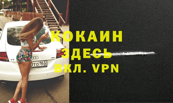 шишки Заводоуковск