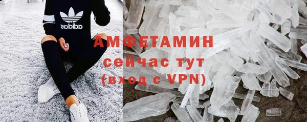 шишки Заводоуковск