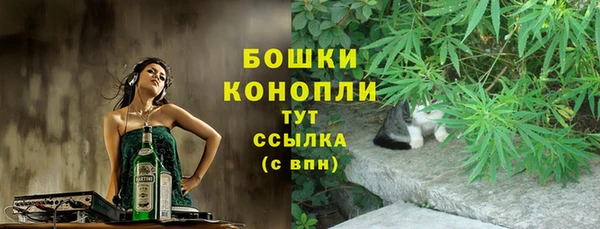 стафф Заволжск