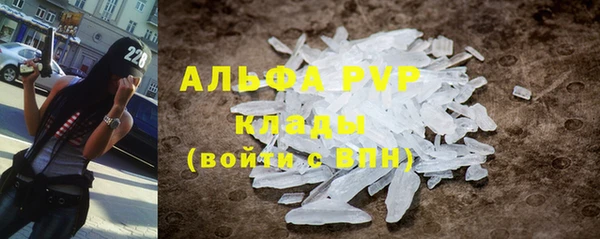шишки Заводоуковск