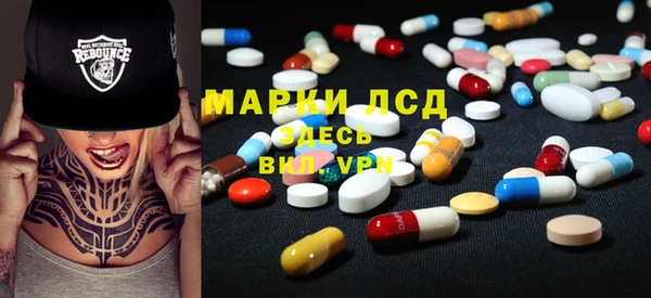 шишки Заводоуковск