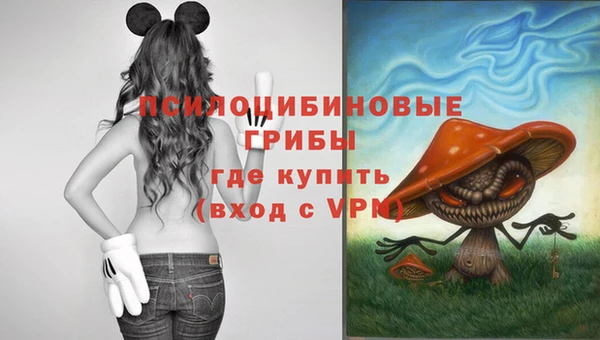 стафф Заволжск