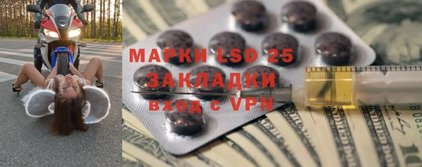 шишки Заводоуковск