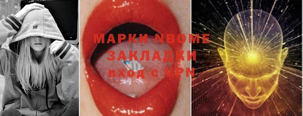 шишки Заводоуковск