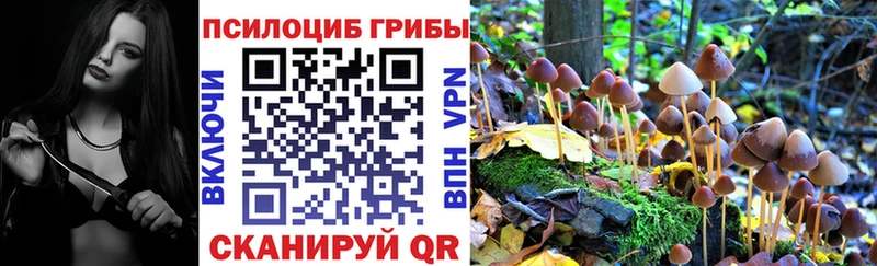 Псилоцибиновые грибы GOLDEN TEACHER  Купить  Каменногорск 